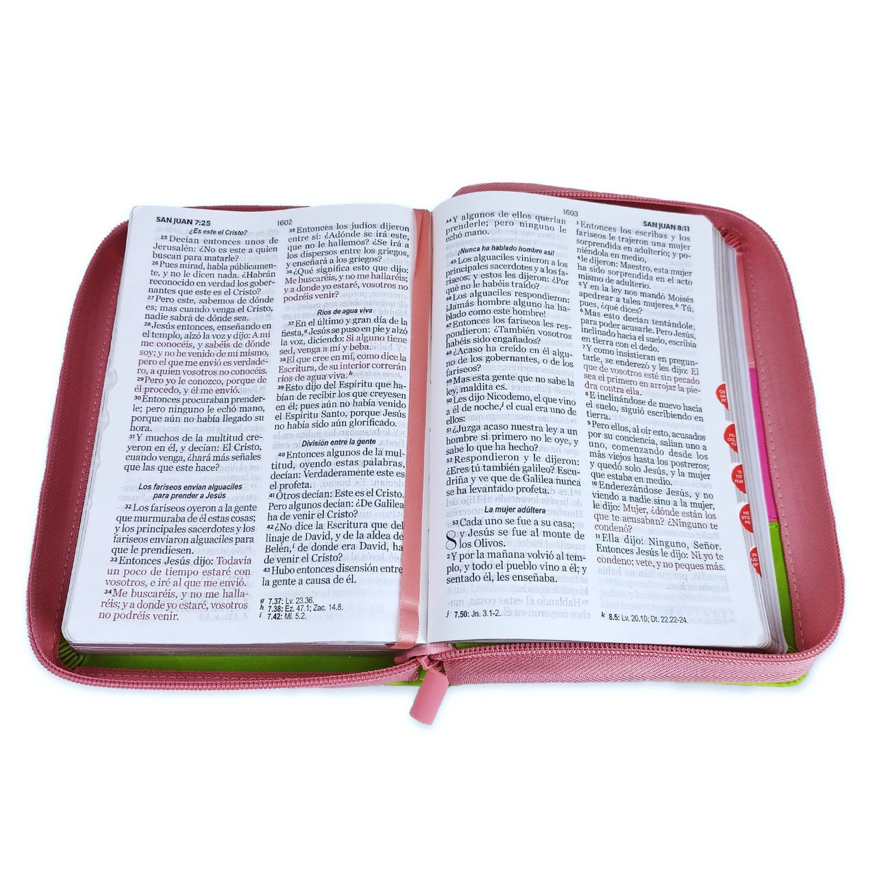 Biblia RVR 1960 Letra Grande Compacta 11 Puntos tricolor